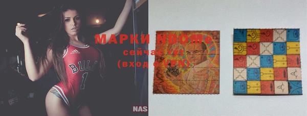 стаф Дмитровск