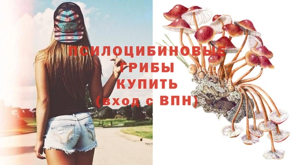 не бодяженный Елизово